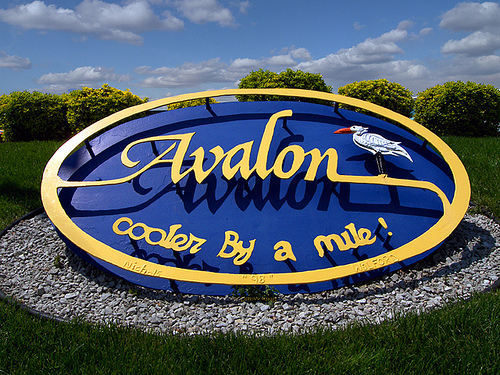avalon-real-estate-for-sale_avalon-nj-realtors_island-realty-group_joseph-zarroli