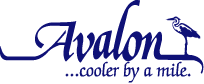 avlogo2.gif (3377 bytes)