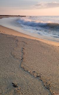 buystoneharbor_buy stone harbor real estate - stone harbor and avalon real estate for sale including stone harbor homes and condos for sale - islan realty group - stone harbor avalon realtors - stone harbor avalon beach information and vacation information